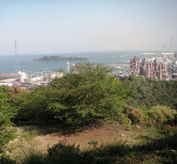 �������׼�����ƻ