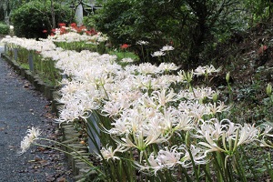 ����߲֤ޤĤꡡ����������ڡˡ�������������