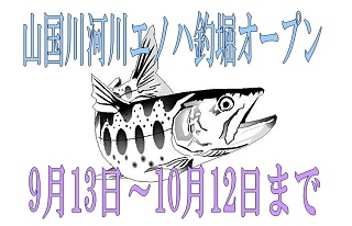 �����ή����ס���ǥ��Υ�(��ޥ�)����٥����ץ�