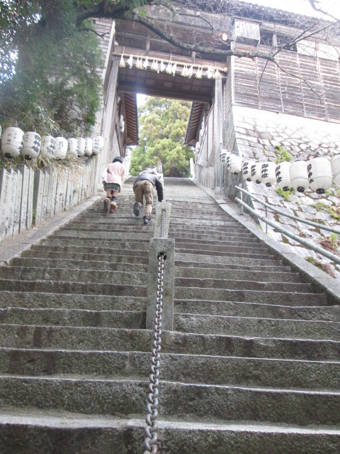 ���롦����