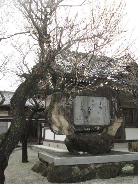 �������ߺפ�