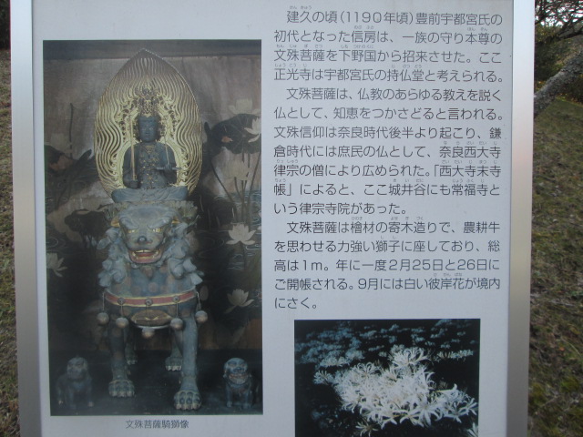 �۾�Į��������Ʀ�μ�